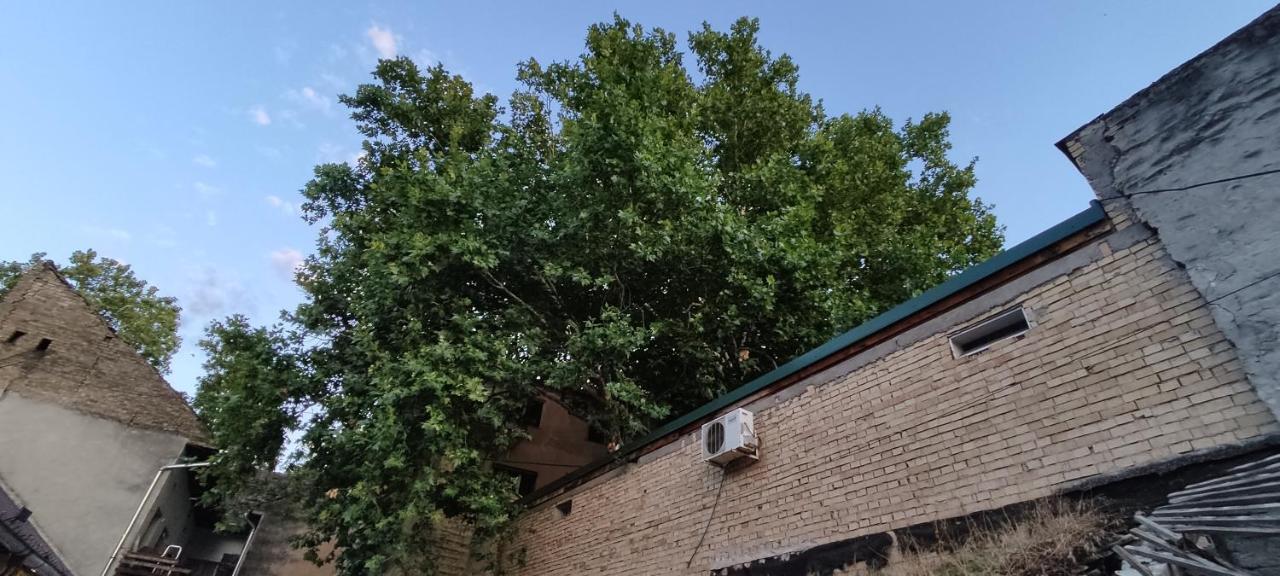 Apartmani Dld Ns Novi Sad Buitenkant foto