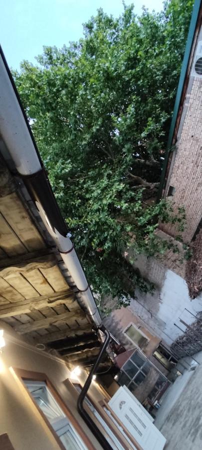 Apartmani Dld Ns Novi Sad Buitenkant foto